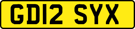 GD12SYX