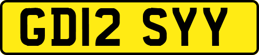 GD12SYY