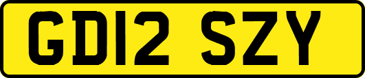 GD12SZY