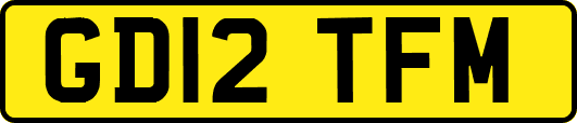 GD12TFM