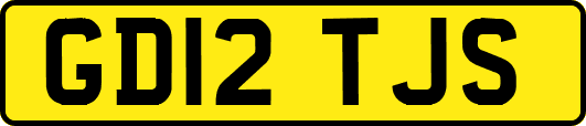 GD12TJS