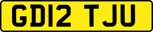GD12TJU