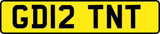 GD12TNT