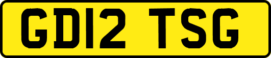 GD12TSG