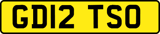 GD12TSO