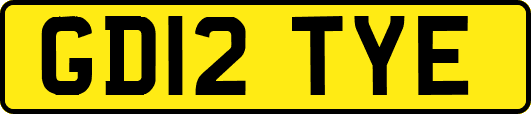 GD12TYE