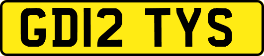 GD12TYS
