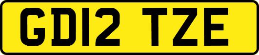 GD12TZE