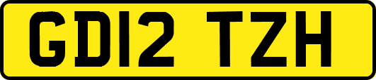GD12TZH