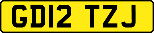 GD12TZJ