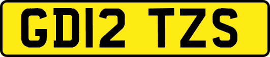 GD12TZS