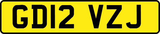 GD12VZJ