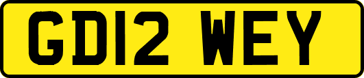 GD12WEY
