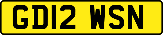 GD12WSN