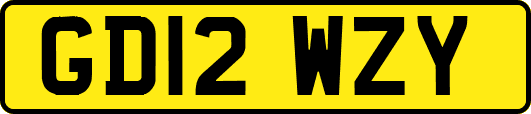 GD12WZY
