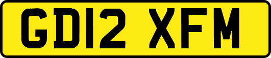 GD12XFM