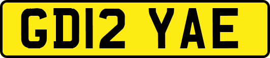 GD12YAE