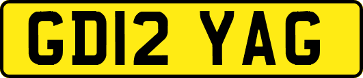 GD12YAG