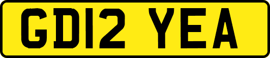 GD12YEA