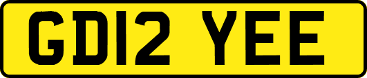 GD12YEE