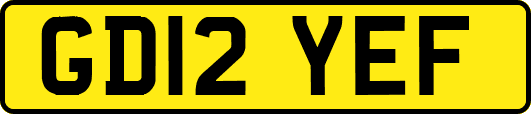 GD12YEF