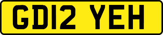 GD12YEH