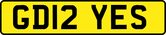 GD12YES
