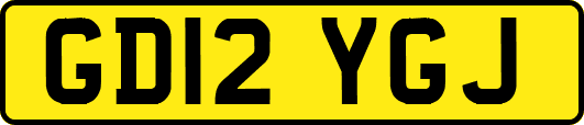 GD12YGJ