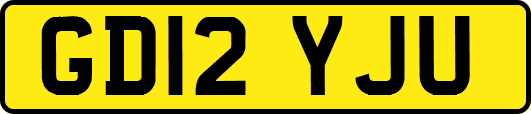 GD12YJU