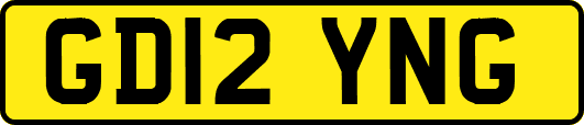 GD12YNG