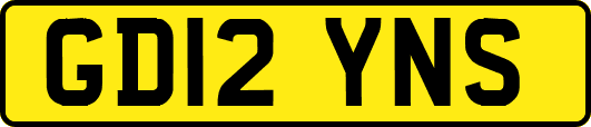 GD12YNS
