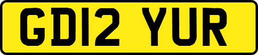 GD12YUR
