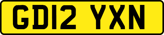 GD12YXN