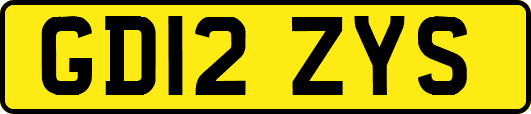 GD12ZYS