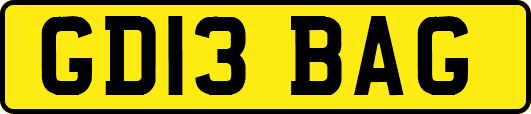 GD13BAG