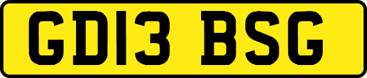 GD13BSG