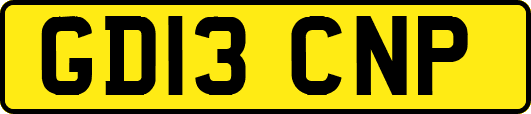 GD13CNP