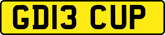 GD13CUP