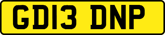 GD13DNP