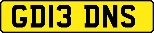 GD13DNS