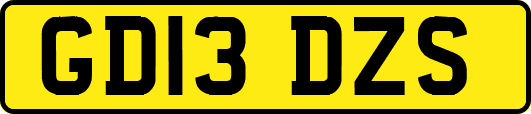 GD13DZS