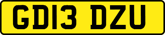 GD13DZU