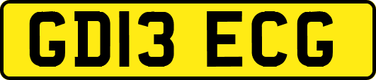 GD13ECG
