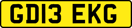 GD13EKG