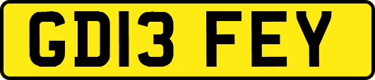 GD13FEY