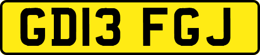 GD13FGJ