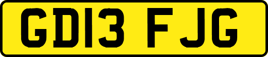 GD13FJG