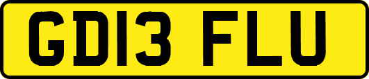 GD13FLU