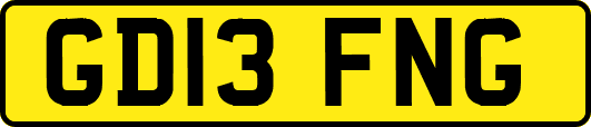 GD13FNG