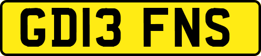 GD13FNS